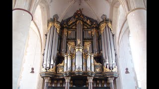 Sietze de Vries in concert Martinikerk Groningen [upl. by Ribak]