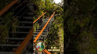 🌳Parque Nacional los Alerces ESQUEL Chubut  Ruta 40 Patagonia Argentina ruta40 [upl. by Wahkuna]