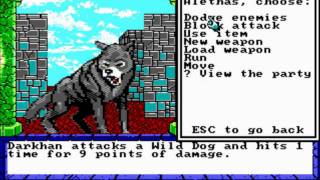 Dragon Wars MSDOS Intro und Gameplay [upl. by Gabe]