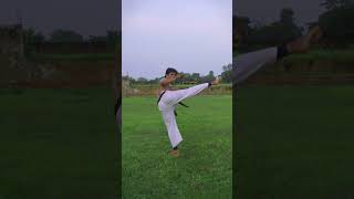 quotUNLEASH YOUR INNER ACTION HERO  Back Round Kick Tutorial like Akshay Kumar combatsport kicks [upl. by Enihpets439]