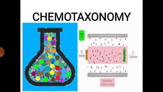 ChemotaxonomyDrSeemaSaxenaZoology [upl. by Ahsoyek]