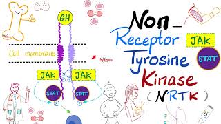 JAKSTAT Pathway — Nonreceptor Tyrosine Kinase NRTK  Cell Signaling  Endocrinology Playlist [upl. by Carita]