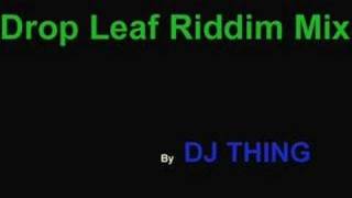 drop leaf riddim mix  dj thing [upl. by Wolfy]