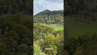 Beautiful Nature Early Autumn 🍃🍂 Flühli Entlebuch Lucerne Switzerland Shorts [upl. by Dymoke]