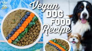 What We Feed Our Dog Homemade Vegan Dog Food Recipe [upl. by Aicittel]