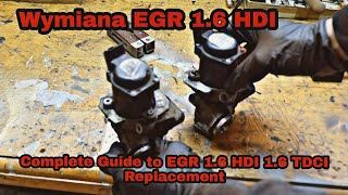 Wymiana EGR 16 HDI  Complete Guide to EGR 16 HDI 16 TDCI Replacment [upl. by Gerrilee231]