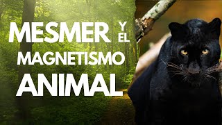 Mesmer y el Magnetismo Animal Ft Dr Mauricio Romero [upl. by Drol]