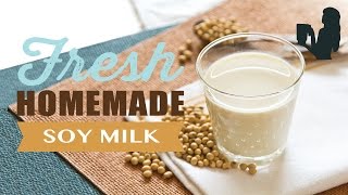 Fresh Homemade Soy Milk recipe made using a Vitamix or Blendtec commercial blender [upl. by Suirtemed]