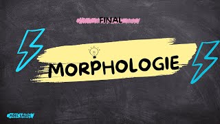 Morphologie  Final [upl. by Atinoj487]