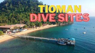 Tioman Dive Sites [upl. by Wren]