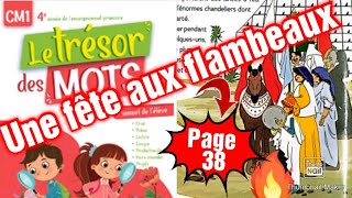 Une fête aux flambeaux Le trésor des mots CM1  page 38 [upl. by Otilopih]