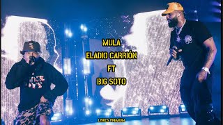 Mula  Big Soto ft Eladio Carrión LetraLyrics [upl. by Elacsap10]