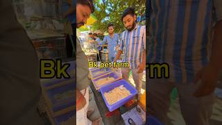 Hamster venumaa 🥳  bk pet farm  chennai  balasvoyage [upl. by Amsirac690]