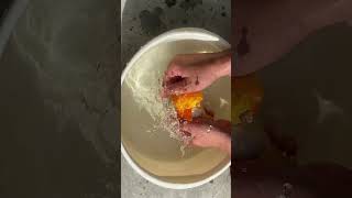 Person shows the process of breeding goldfish [upl. by Silin723]