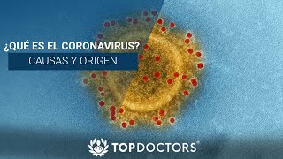 ¿Qué es el Coronavirus Causas y origen [upl. by Ydnem700]