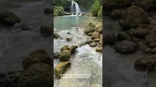 KAWASAN FALLS AT BADIAN CEBU [upl. by Neerod506]