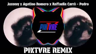 Jaxomy x Agatino Romero x Raffaella Carrà – Pedro PIKTVRE Remix Visualizer [upl. by Constantino]