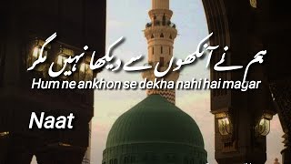 Hum Ne Ankhon Se Dekha Nahi Hai Magar🤍 madinahstatus naatsharifstatus muhammedﷺ nabimuhammadﷺ [upl. by Torras809]