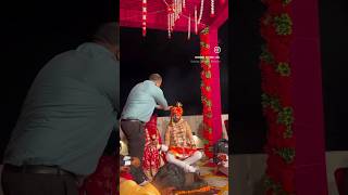 mamosa music royalwedding2024 bollywood oldisgold rajasthan song [upl. by Ibor]