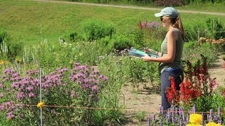 EcoBeneficial Interview Annie White on Native Plant Cultivars Native Plants amp Pollinators [upl. by Cerveny]