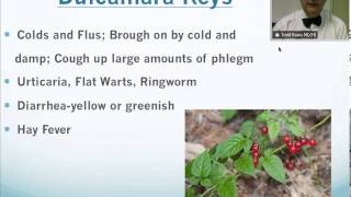 Dulcamara Homeopathic Medicine Tips For Beginners [upl. by Doehne]