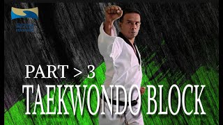 taekwondo block part 3  wt kukkiwon  KUKKIWON MOODUKKWAN [upl. by Changaris]