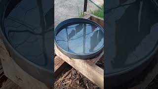 Food and water source 4 the chickens chickens food water [upl. by Fullerton]