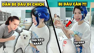 Mèo Simmy Bị Bé Dâu Cắn Sưng Tay Khi Đưa Bé Dâu Đi Chích Ngừa [upl. by Yeffej911]