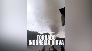 TORNADO DISTRUTTIVO  Isola di Giava Indonesia  21022024 [upl. by Daisey]