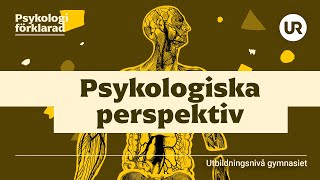 Psykologiska perspektiv förklarade  PSYKOLOGI  Gymnasienivå [upl. by Gavan]