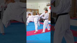 Mawashi Geri simple and accessible karate piatsko 空手道 martialarts kicks sensei kick mawashi [upl. by Rillis798]