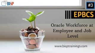 Oracle Workforce Planning at Employee and Job Level  Oracle Workforce Planning  Oracle Planning [upl. by Lleder]