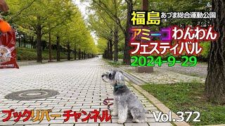 アミーゴわんわんフェスティバル2024 Vol372 [upl. by Esiole]