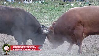 TV PRIBOJ EMISIJA OLOVSKE LUKE KORIDA I TEFERIČ 11082024 [upl. by Hildegard]