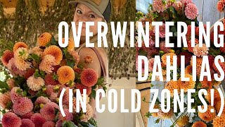 Overwintering dahlias in cold zones [upl. by Assel]