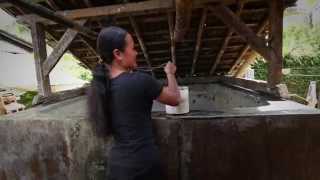 Rainwater Harvesting for Clean Drinking Water in Indonesia [upl. by Dry]