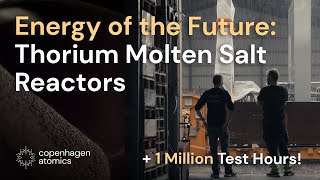 Energys FUTURE 9 Years of THORIUM Molten Salt Reactor Advancements [upl. by Atoel992]