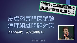 皮膚科専門医試験問題の解説 2022年度問題 記述問題10 [upl. by Enoryt]