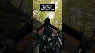 ❗️ Video completo sul canale gigachadtheme moto motociclismo bikeshorts bikelife motorcycle [upl. by Ahselat]