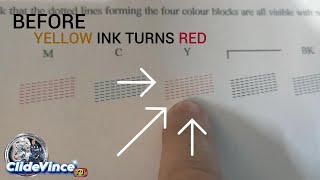 Brother Printer DCP T310 Printing Problem  yellow ink turns red Problem solve [upl. by Maribel]