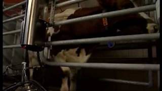 DeLaval Milk quality  Automated Dairy Farming Solutions  DeLaval [upl. by Akalam]