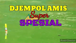 Umpan djempol amis  umpan ikan mas jitu  fishing [upl. by Ahsaz]