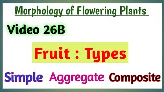 Fruit types  Brief Classification of Fruits  Simple Aggregate and Multiple Fruit Meaning [upl. by Cigam575]