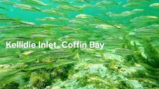 Underwater Coffin Bay  Kellidie Inlet  Adelaide Freedive Tribe [upl. by Nnylassej]