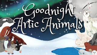 Goodnight Artic Animals Storytime Naptime stories for preschoolers [upl. by Critta]