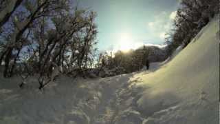 Snowshoeing  American Fork Canyon [upl. by Lytsirhc]