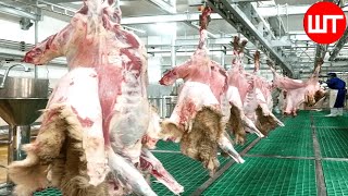 How Sheep Meat is Processed  Modern Sheep Farming Technology  Food Factory [upl. by Lanctot390]