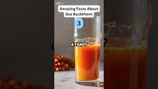 5 Amazing Facts About Sea Buckthorn zapetv fruit facts [upl. by Dulcle]