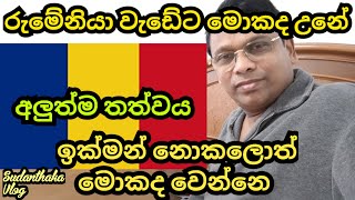 රුමේනියා රැකියා වල අලුත්ම තත්වය [upl. by Burnight]