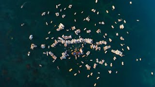 Il Pagante  Bellini Boat Party  Lago Di Iseo [upl. by Wachtel610]